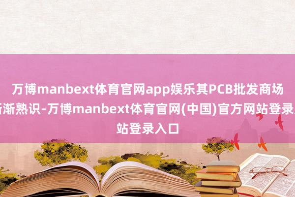 万博manbext体育官网app娱乐其PCB批发商场也渐渐熟识-万博manbext体育官网(中国)官方网站登录入口