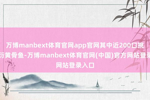 万博manbext体育官网app官网其中近200口挑升繁衍黄骨鱼-万博manbext体育官网(中国)官方网站登录入口